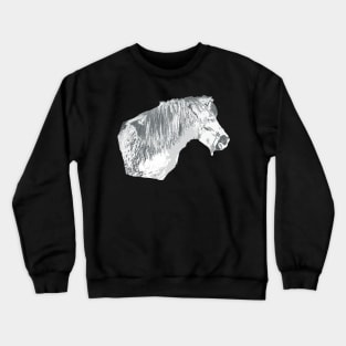 pony Crewneck Sweatshirt